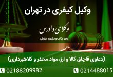 تخصص در دعاوی قاچاق کالا و ارز، مواد مخدر و کلاهبرداری